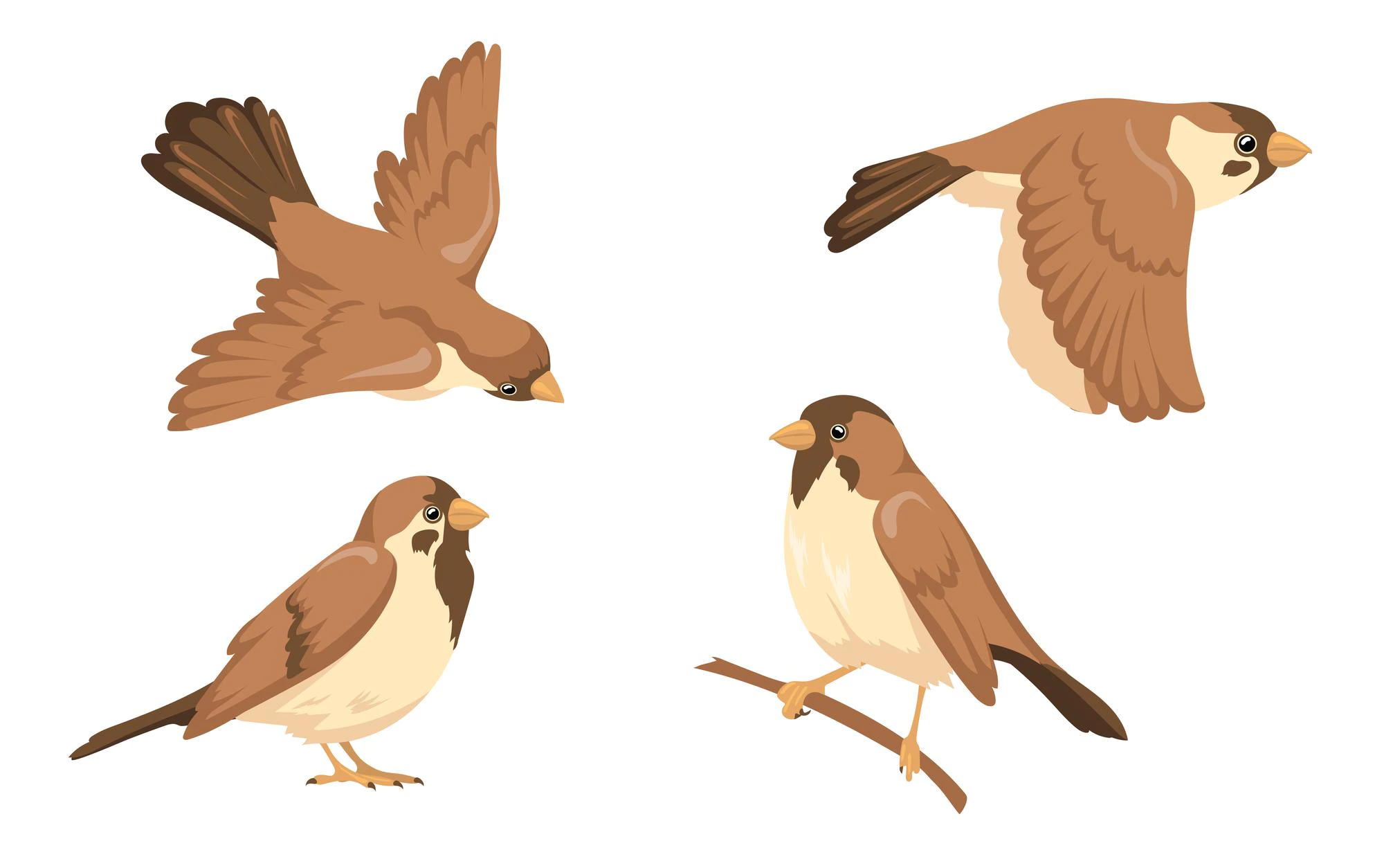 sparrow character illustrations set 74855 17867