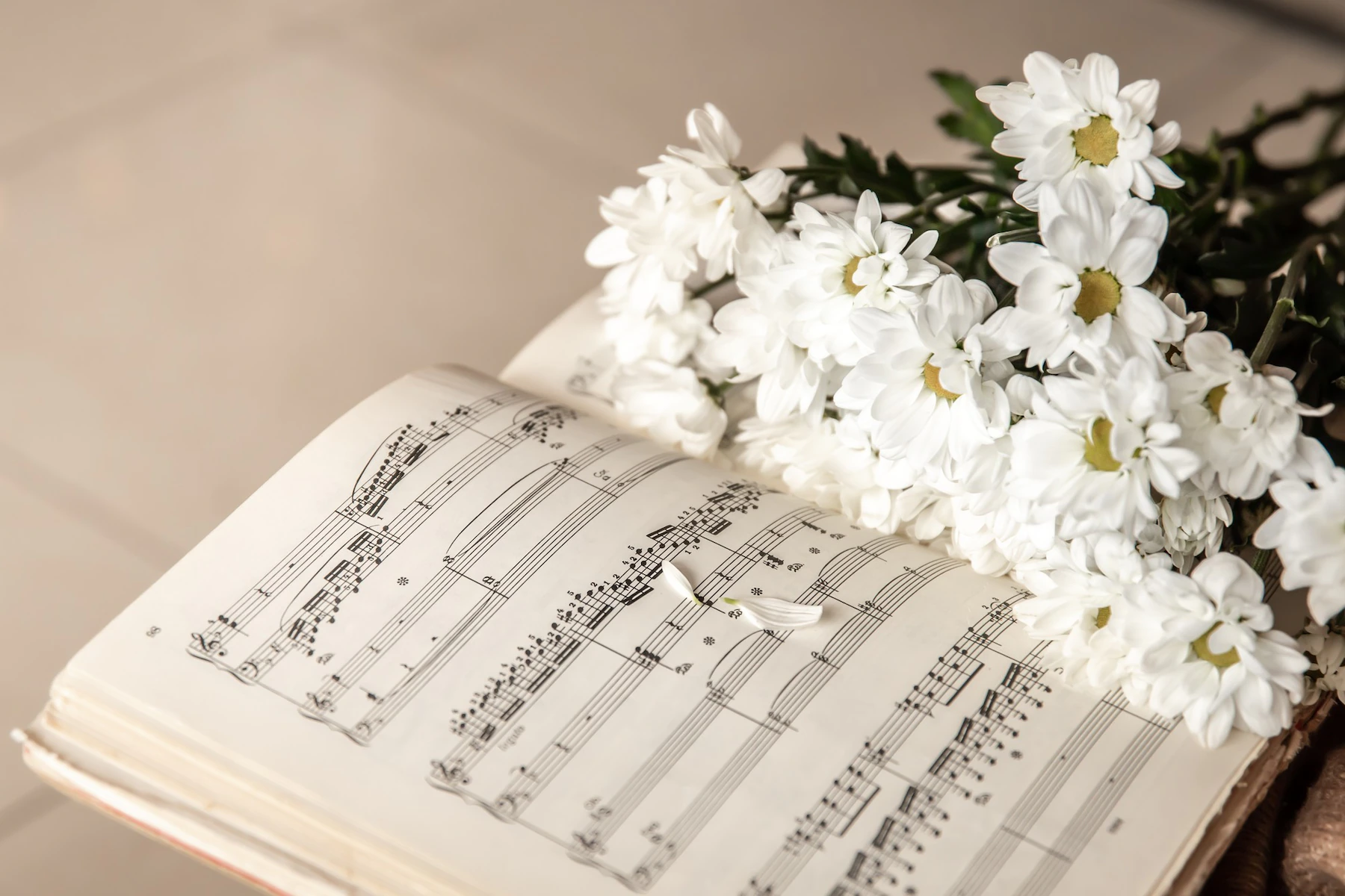 closeup musical notes bouquet flowers 169016 15192