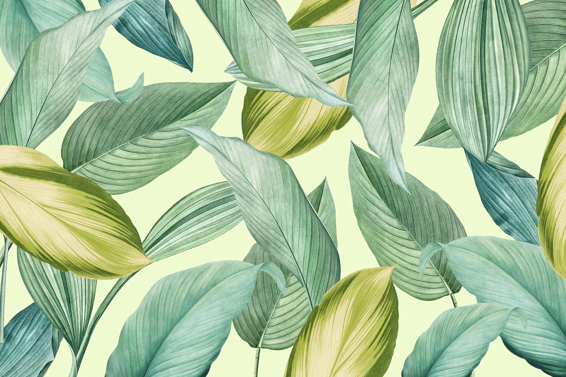 green tropical leaves patterned background 53876 107994