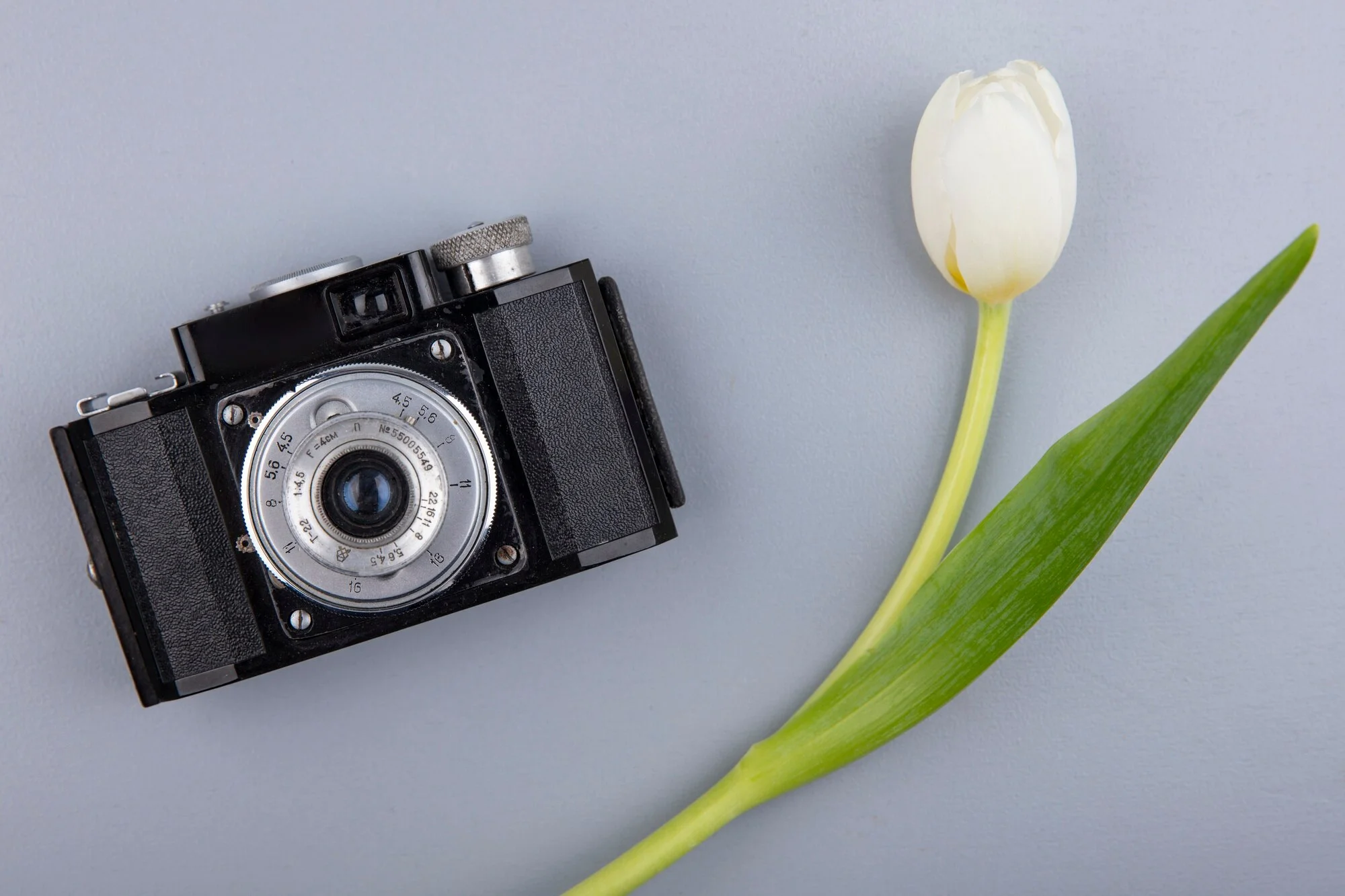 top view photo camera flower gray background 141793 53182
